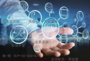趣步系統定制專業開發